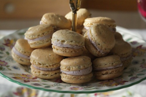 DSC07351 DSC07351