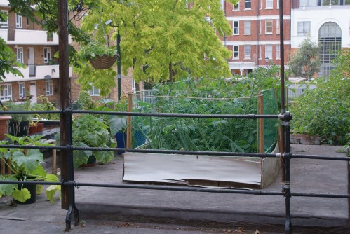 garden garden